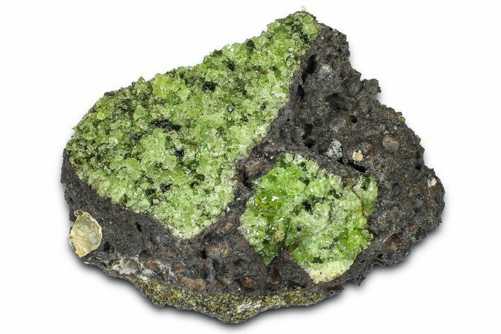 Peridot Crystals in Basalt - Arizona #369539